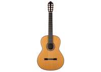 S. & A. Kirschner - 2021  Doubletop 64cm "Siccas Guitars Series"