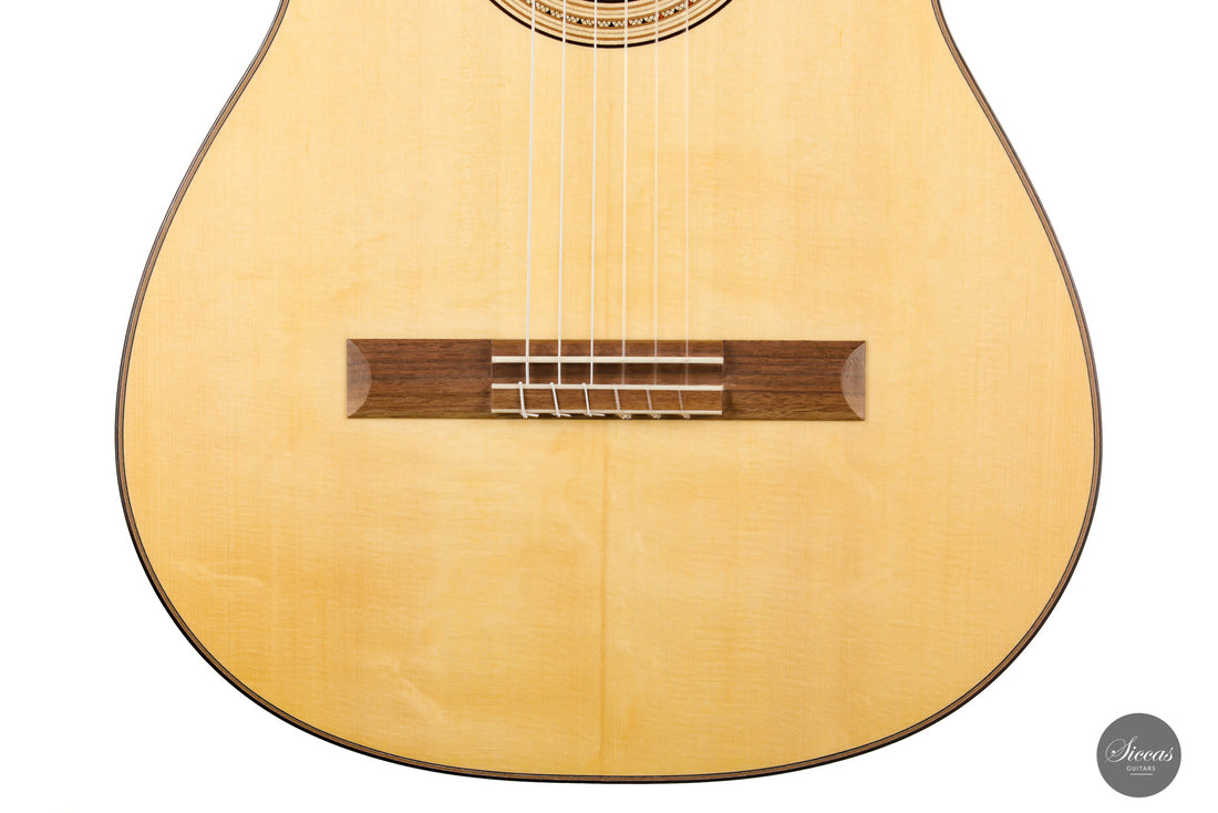 Michael Cadiz - 2020 Récital