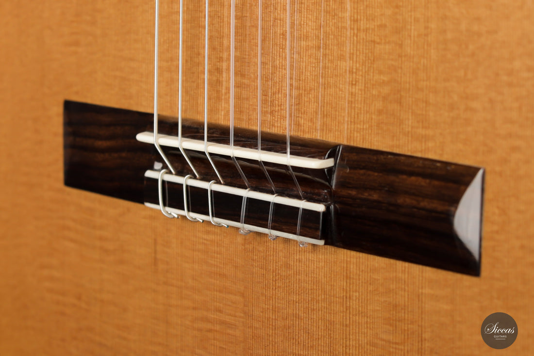 Pepe Romero / Wolfgang Jellinghaus - "España" Cedar