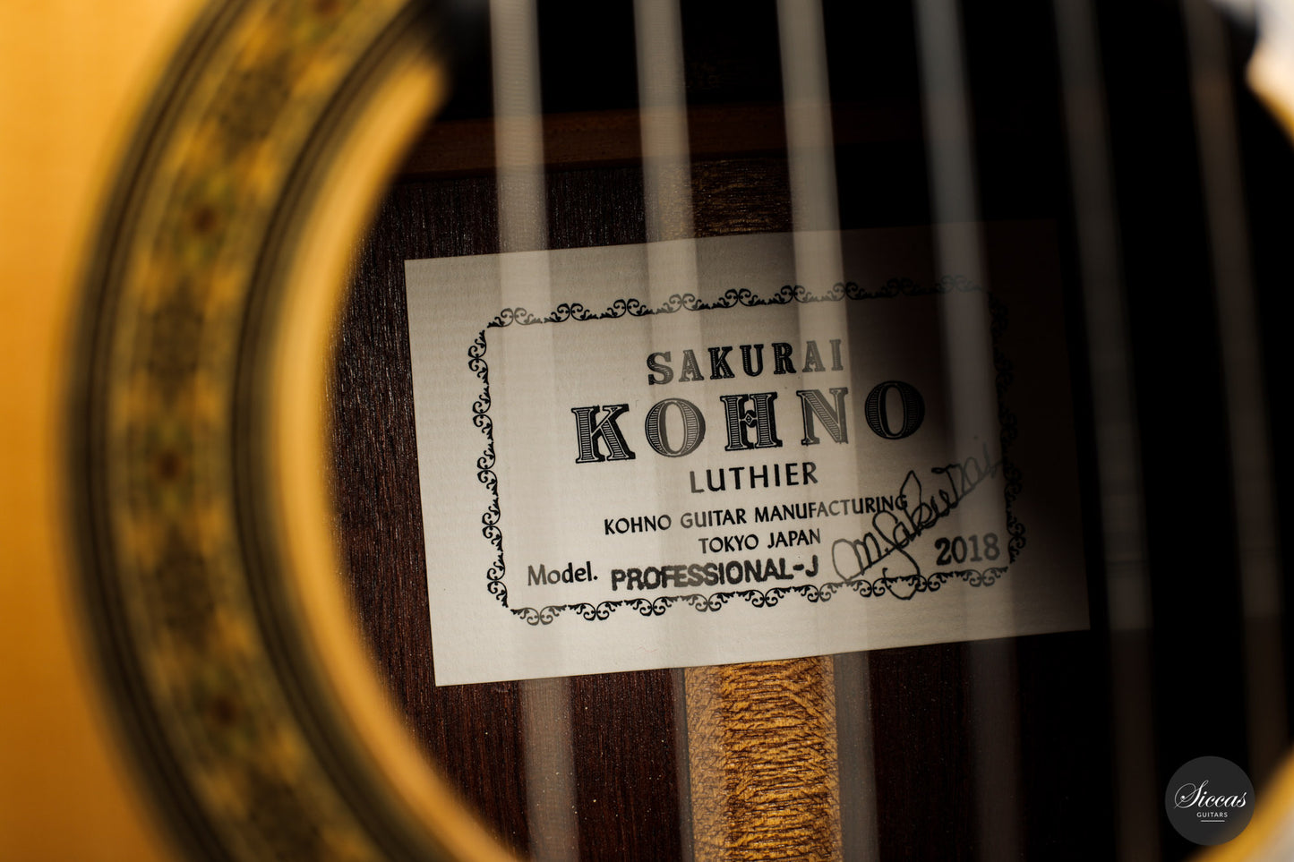 Sakurai Kohno - 2018 Professional J