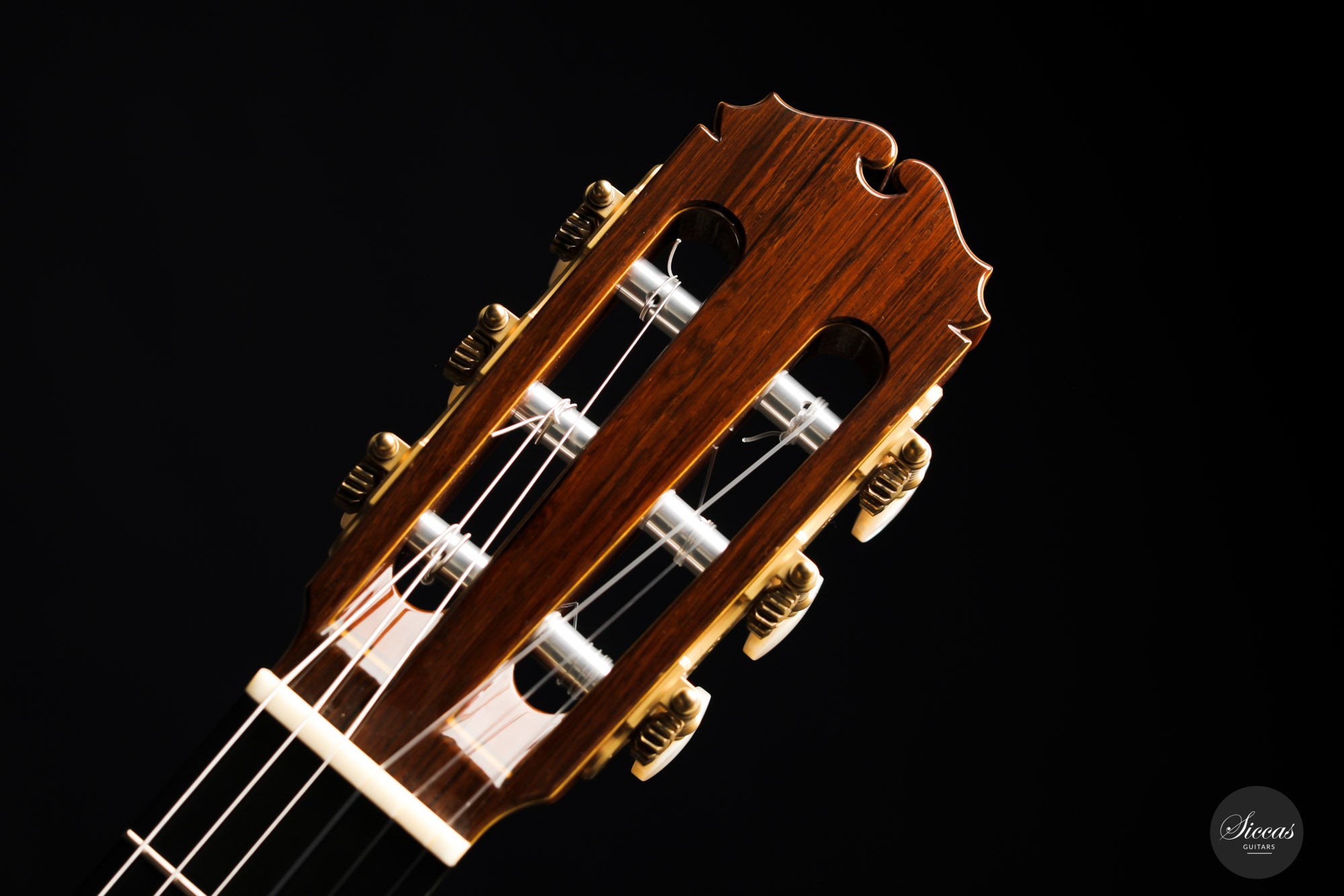 Sakurai Kohno - 2021 Special – Siccas Guitars