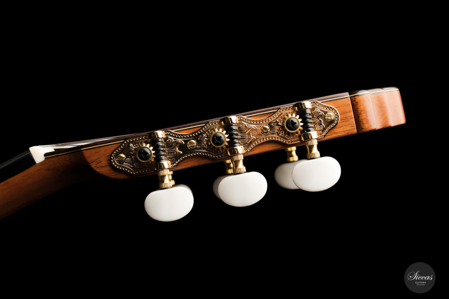 Vicente Carrillo - India Estudio Cedar