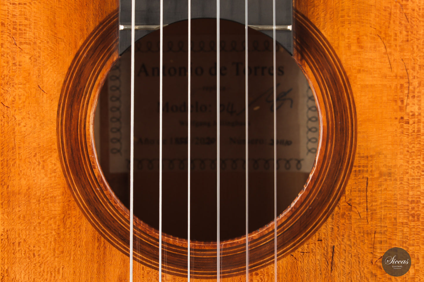 Wolfgang Jellinghaus - Torres 04 La Leona Cypress