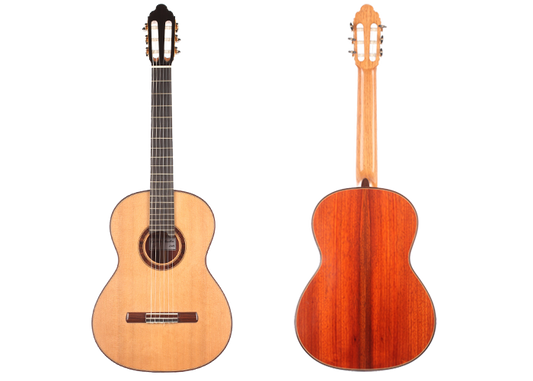 Constantin Dumitriu – 2012 img-2