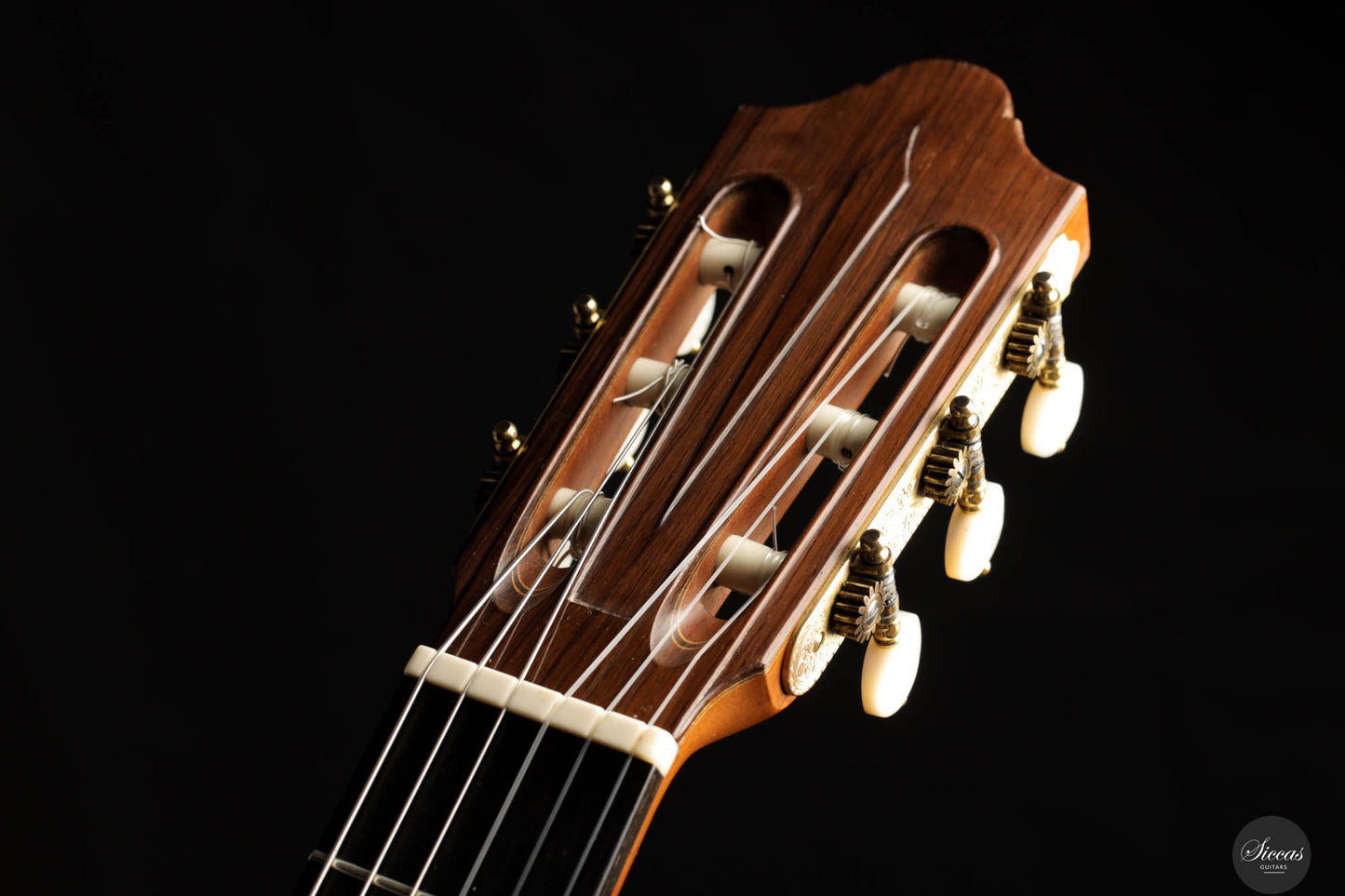 Daniel Friederich - 1994 No. 725