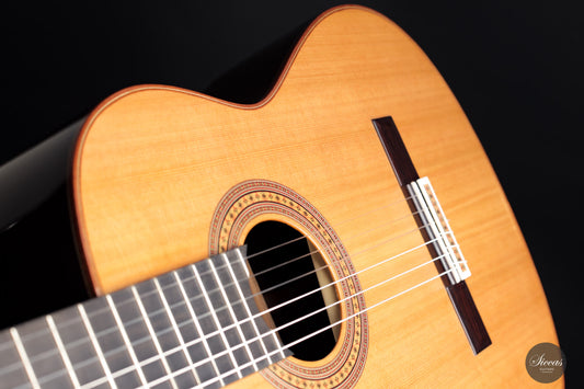 Daniel Stark - Española II Cedar img-2