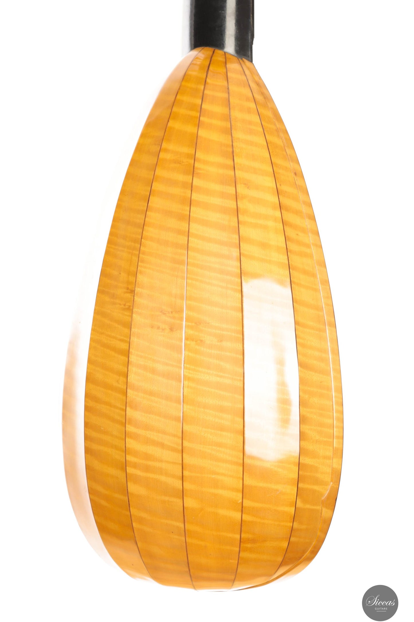 David Rubio - 1968 - No. 149 Baroque Lute 13 Courses