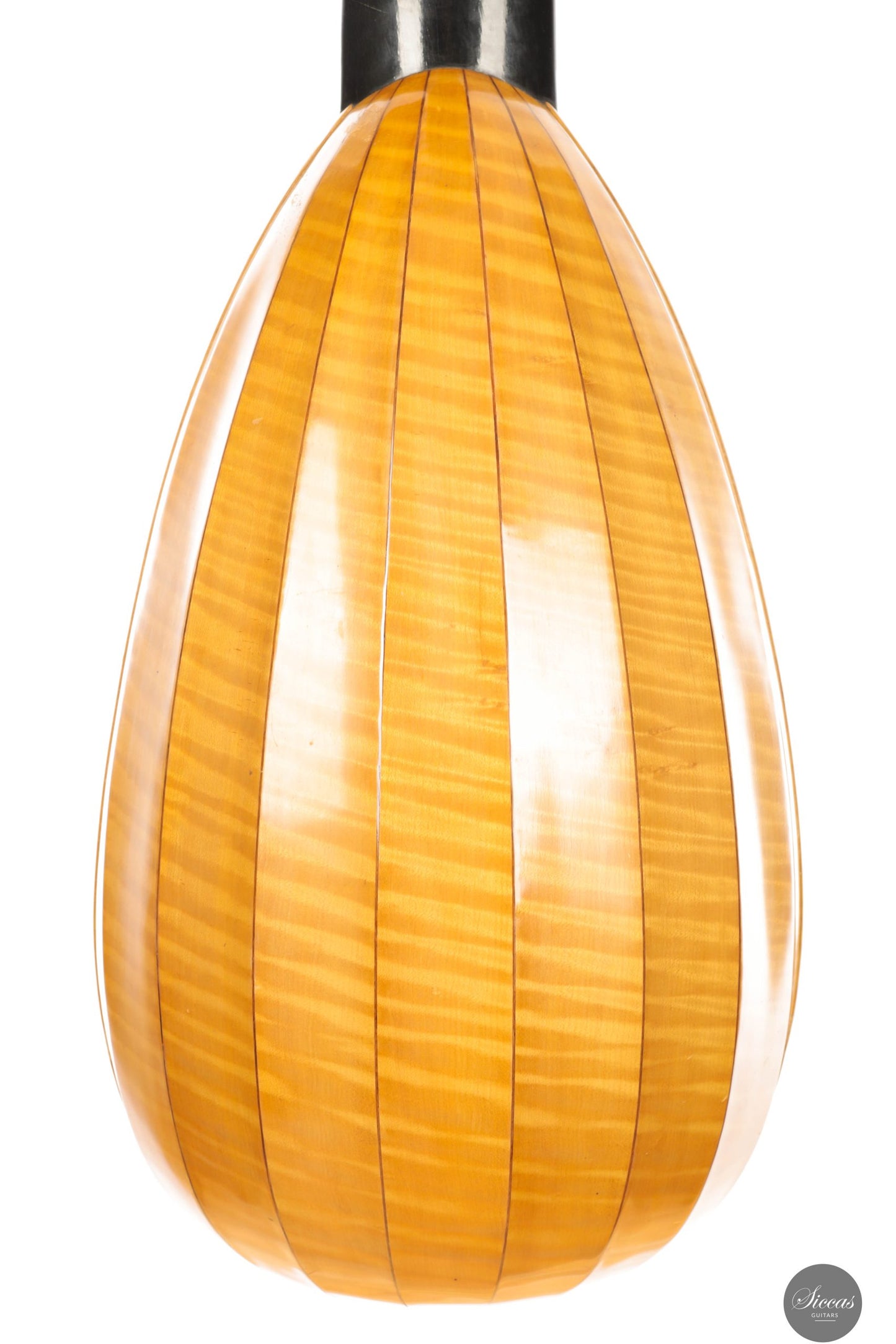 David Rubio - 1968 - No. 149 Baroque Lute 13 Courses