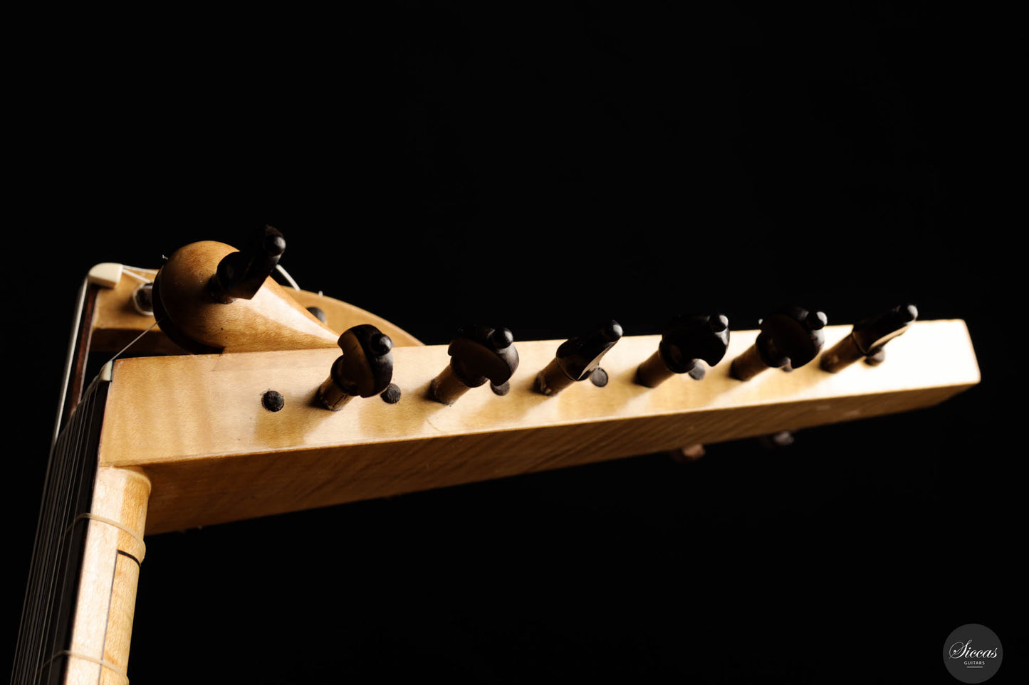 David Rubio - 1972 Lute