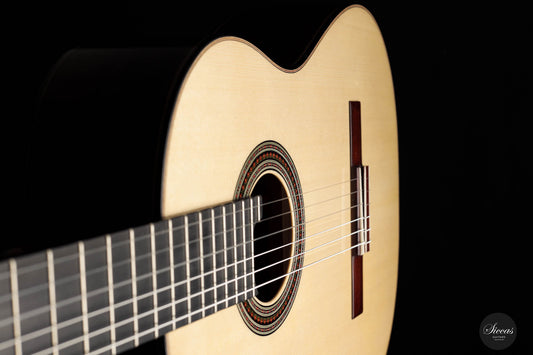 Donatella Salvato – 2023 Concerto 64 cm img-2