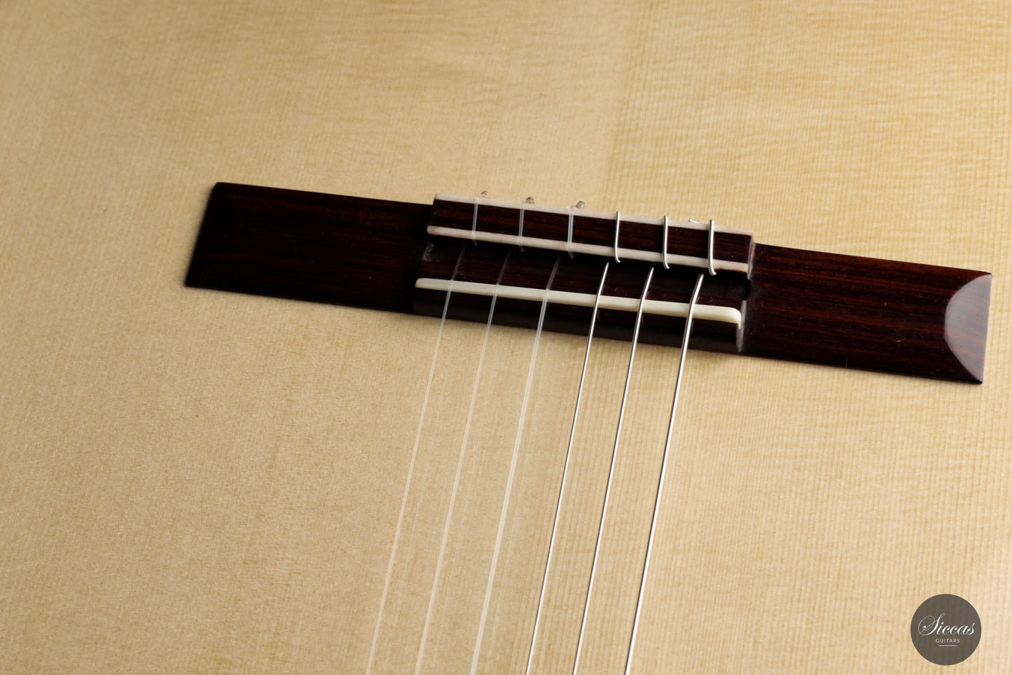 Donatella Salvato – 2023 Concerto 64 cm
