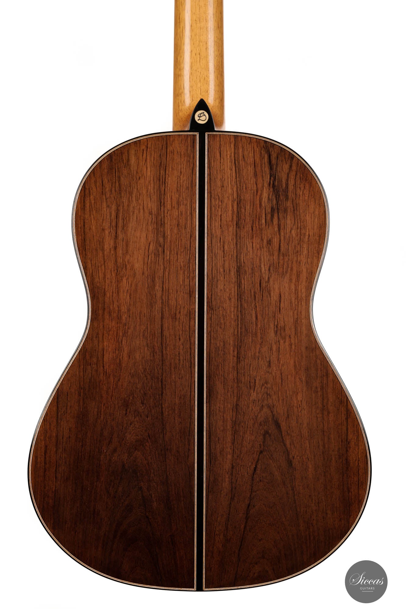 Donatella Salvato – 2023 Concerto 64 cm