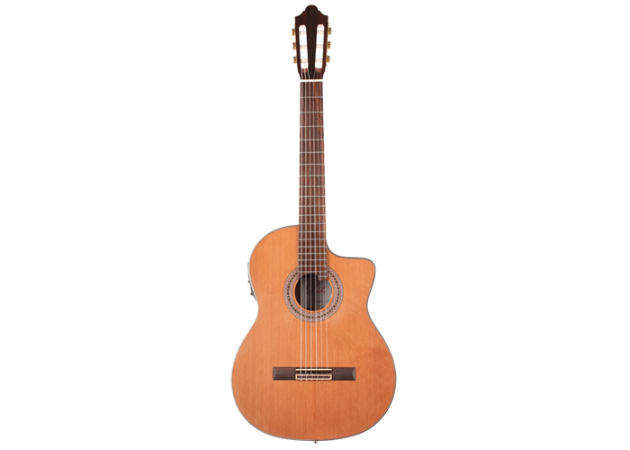 Duke - Student C Cut Pickup