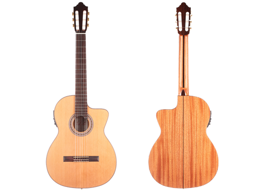 Duke - Konzert C Cut Pickup img-2