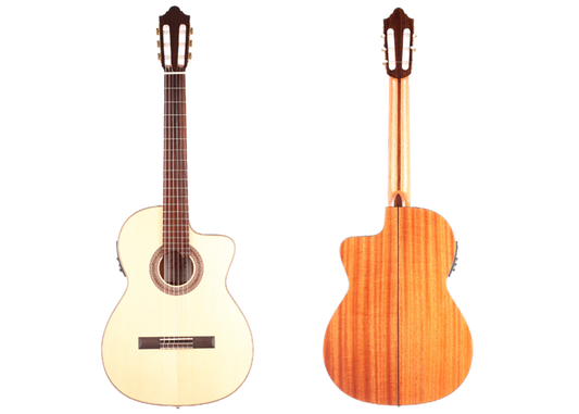 Duke - Konzert F Cut Pickup img-2