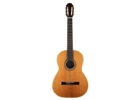 Mario Sicca - 2020 Cedar