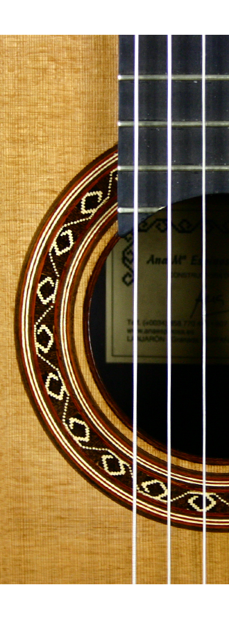 Ana Espinosa - 2012 img-2