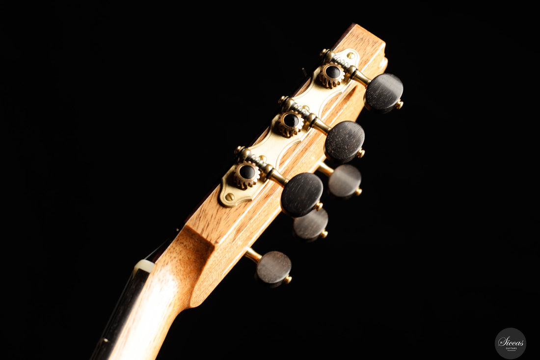 Fabio Schmidt - 2024 REG 2024 Limited Edition