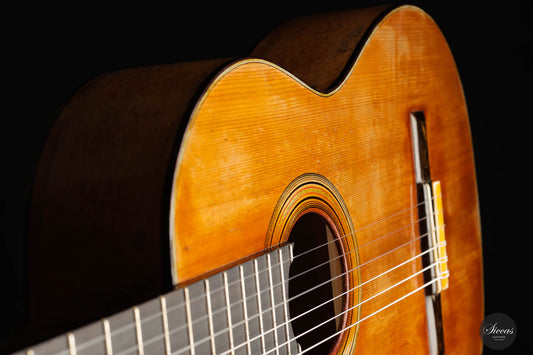 Fabio Zontini - 2023 Torres FE14 Papier mâché img-2