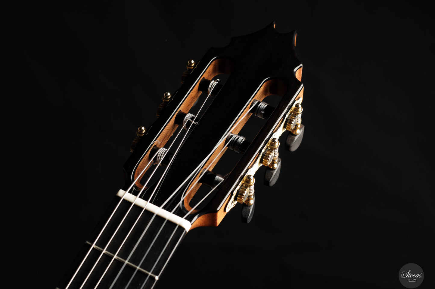 Fernando Mazza - 2024 REG 2024 Limited Edition Lattice