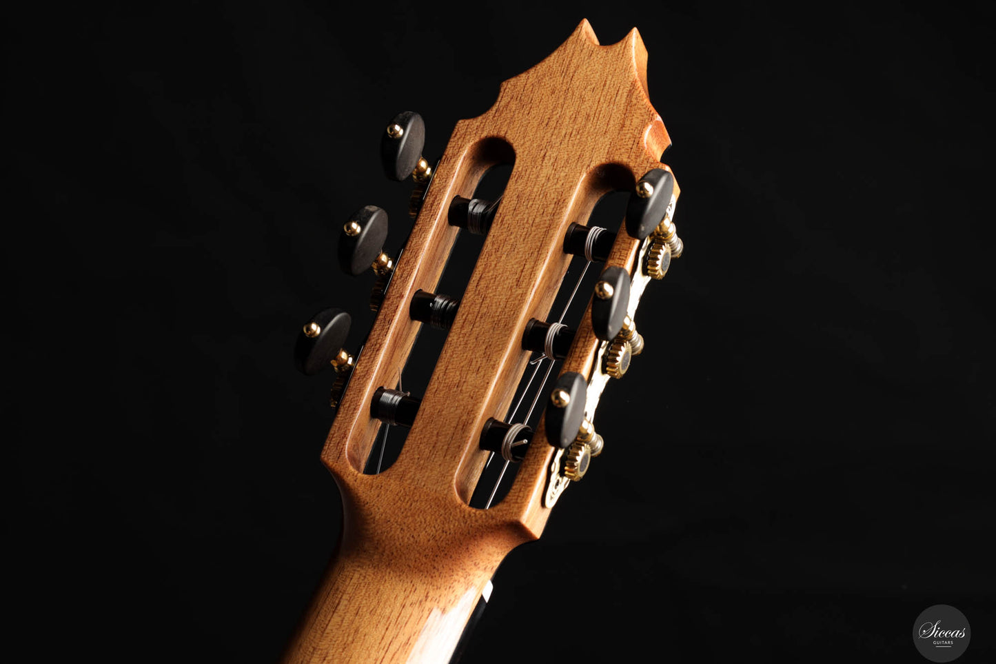 Fernando Mazza - 2024 REG 2024 Limited Edition Lattice