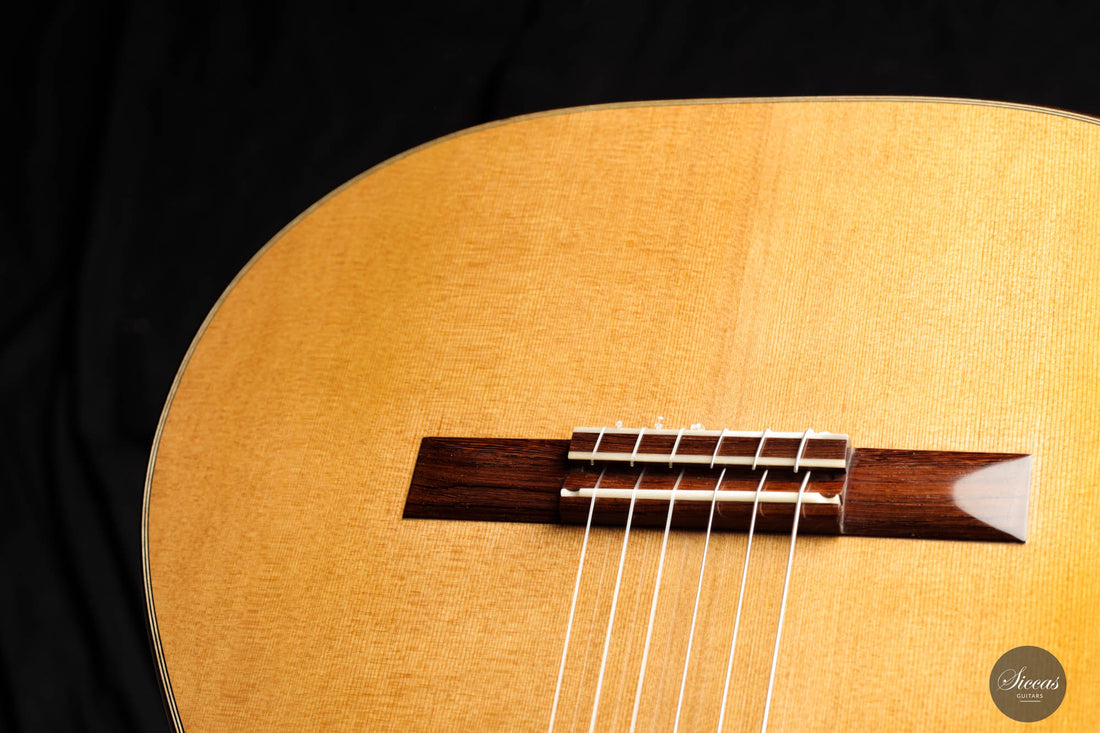 Fernando Rubin - 2018 Cedar/Indian