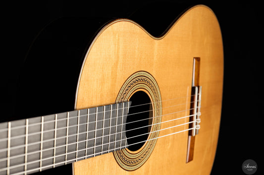 Francesco de Gregorio - 2024 No. 110 REG 2024 Limited Edition img-2