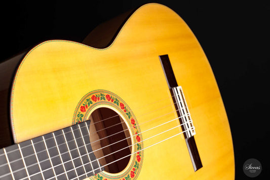 Francisco Barba - 2022 Flamenco Maple img-2