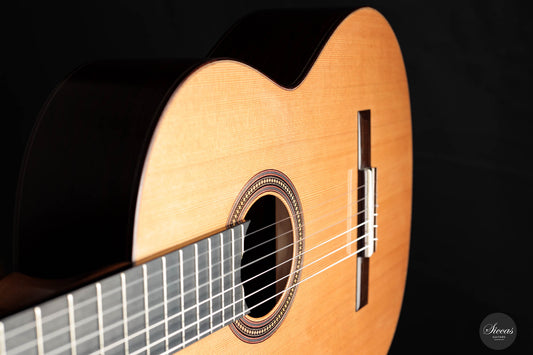 Francois Regis Leonard - 2023 Cedar 65 cm img-2