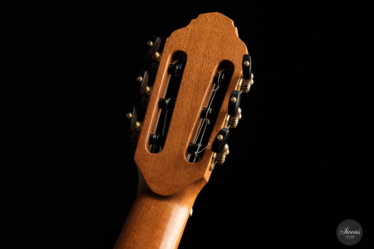 Francois Regis Leonard - 2023 Spruce 64 cm