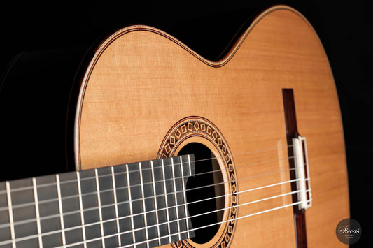 Friederike Linscheid - 2023 No. 59 64 cm img-2