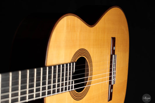 Gerhard Oldiges - 2005 La Prueba img-2