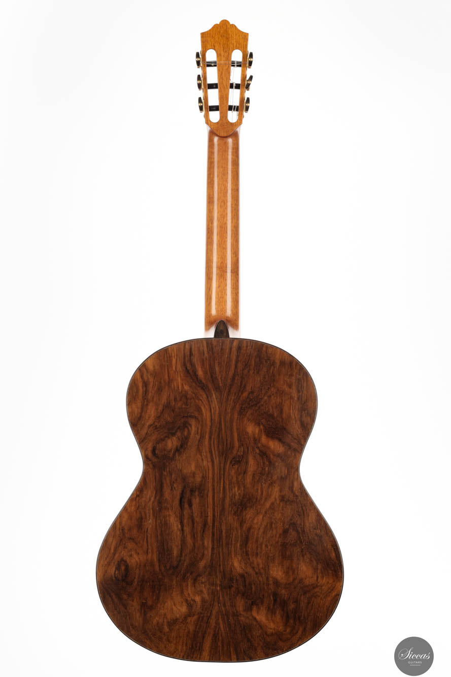 Giacomo Guadagna - 2024 REG 2024 "La Venere Concerto Limited Edition"