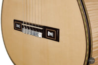 Hans van den Berg - 2021 Torres FE17