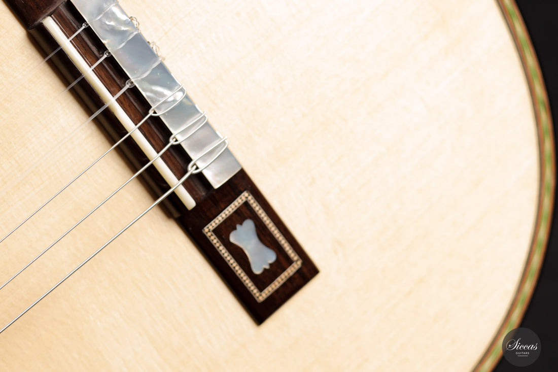 Hans van den Berg - 2021 Torres FE17