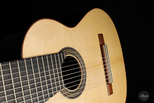 Heikki Rousu - 2022 11-string No. 425 img-2