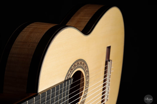 Heikki Rousu - 2024 No. 451 10-String img-2