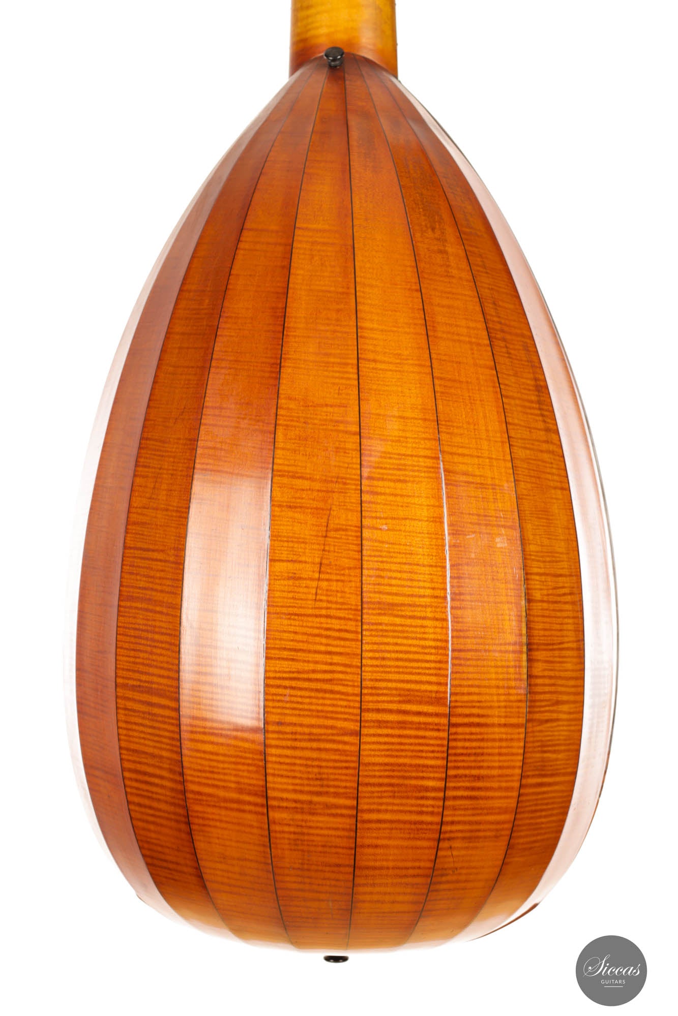Hermann Hauser® I - Lute 1913