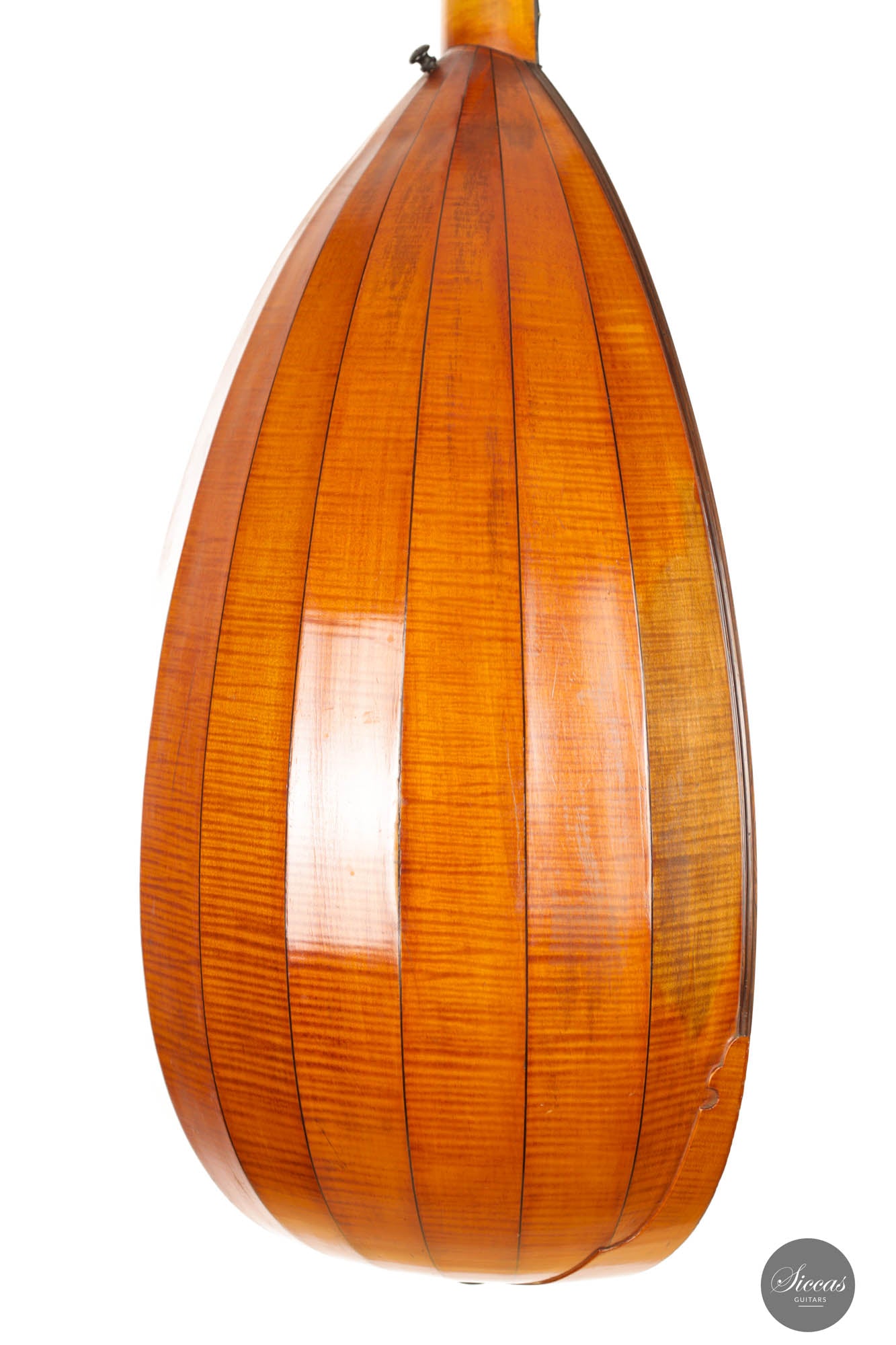 Hermann Hauser® I - Lute 1913