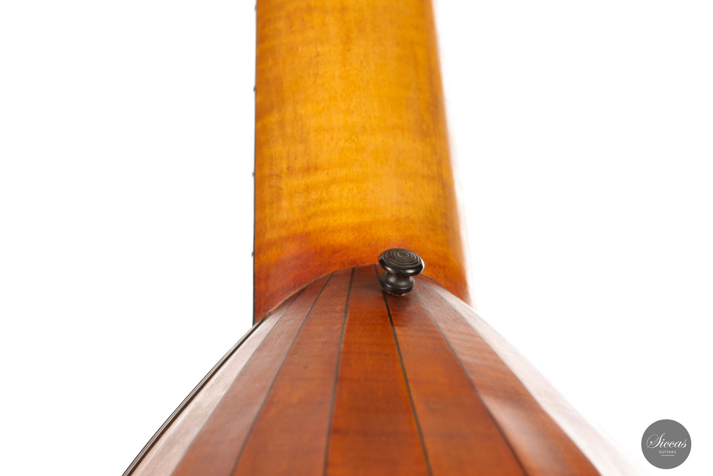Hermann Hauser® I - Lute 1913