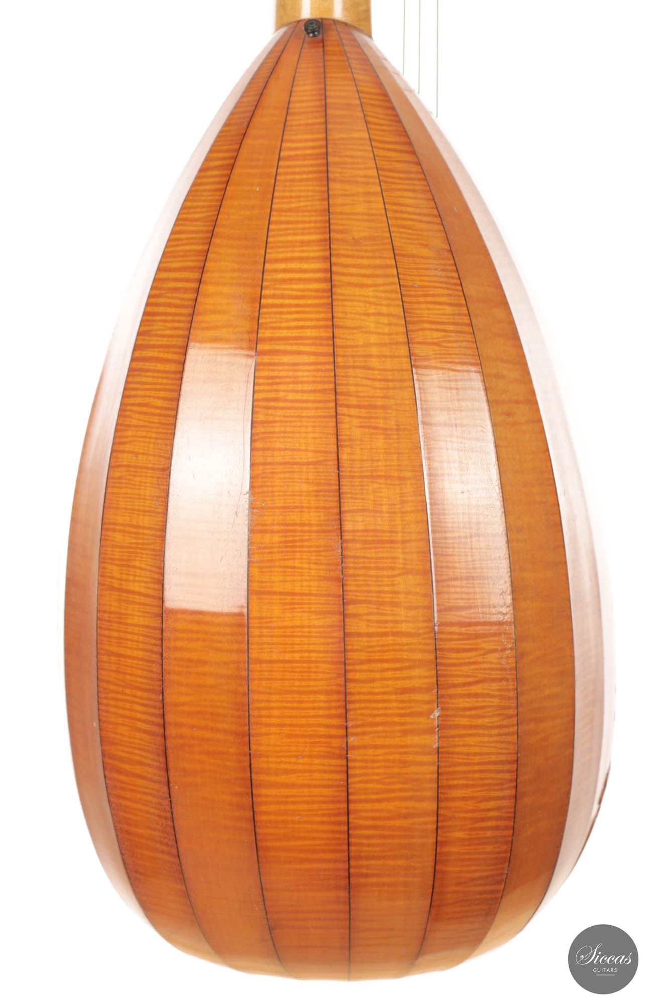 Hermann Hauser® I - Lute 1914