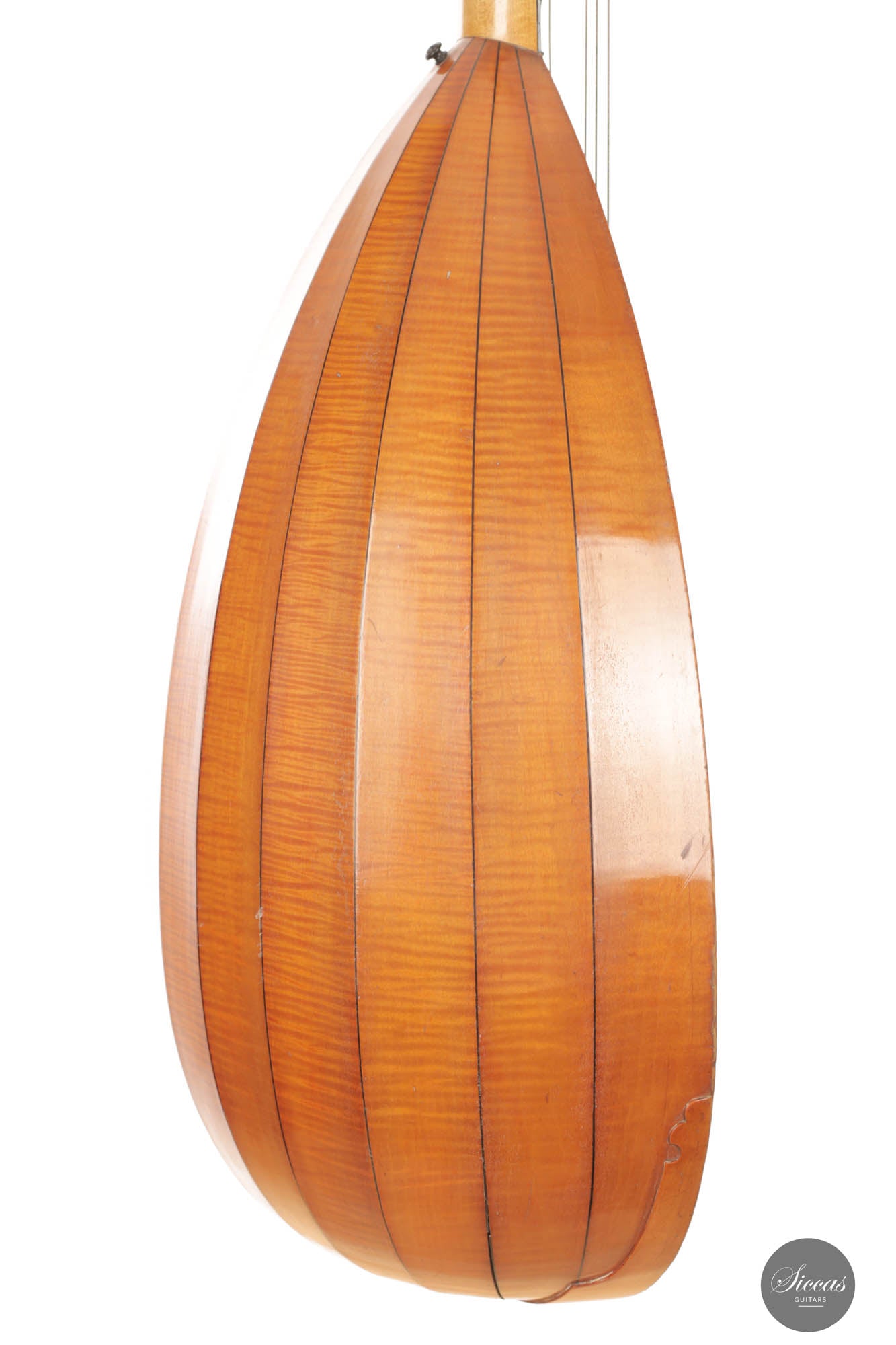 Hermann Hauser® I - Lute 1914