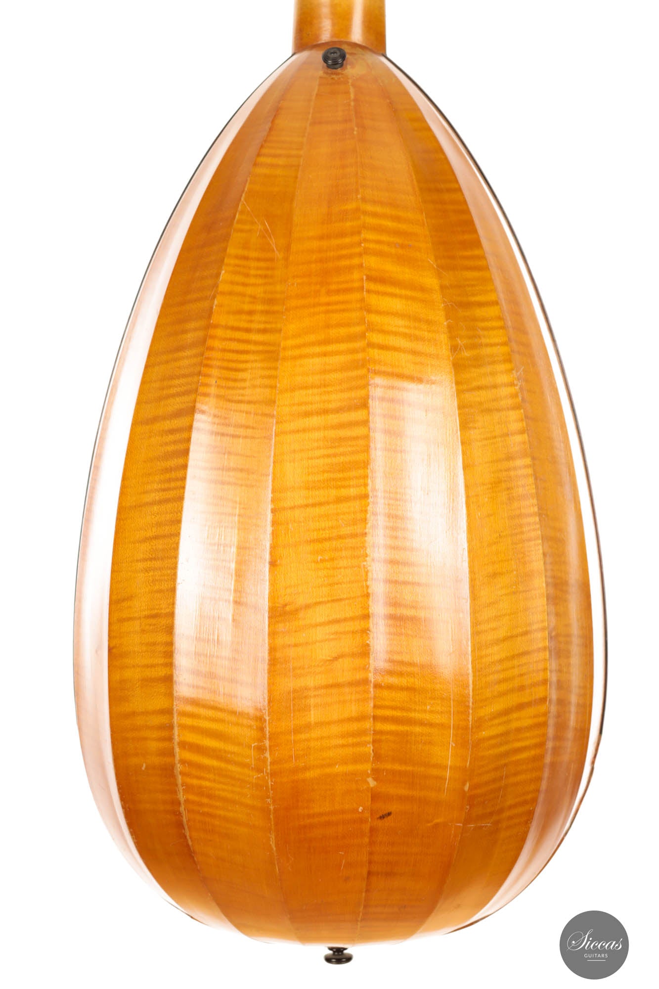Hermann Hauser® I - Lute 1924
