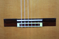 Michael Batell  - 2014 cedar