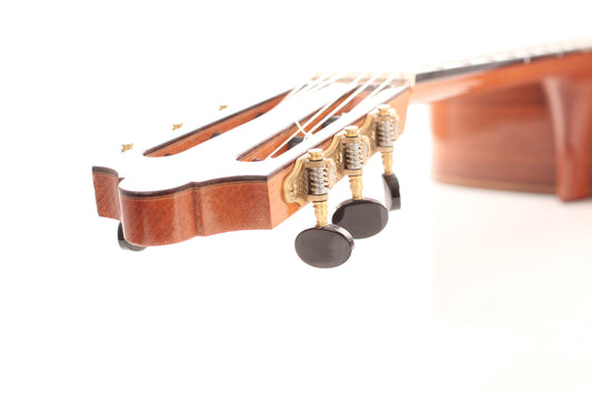 Andreas Kirschner - 2009 img-2