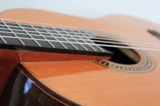 Yulong Guo 2011 Chamber Concert Doubletop img-2