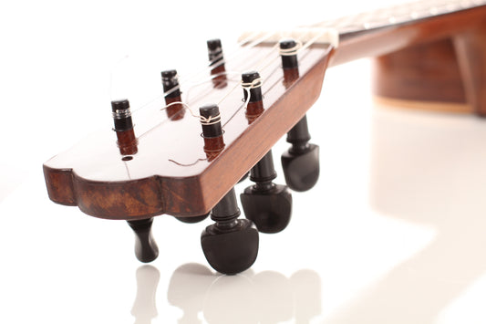 Vicente Arias - 1885 img-2