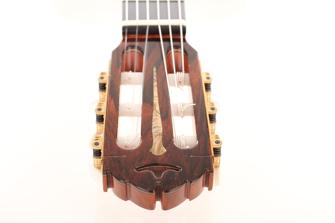 Joachim Schneider - 2001