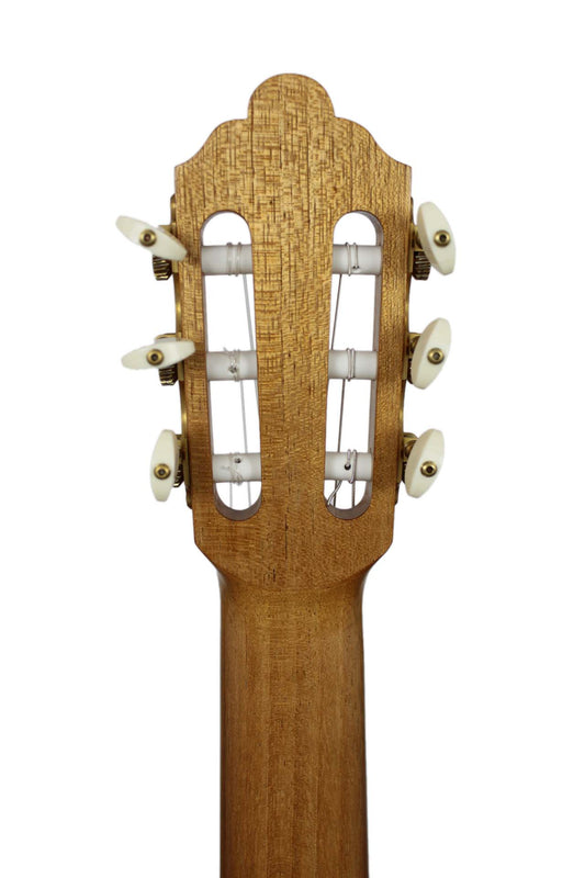 Richard Newman - 2015 img-2