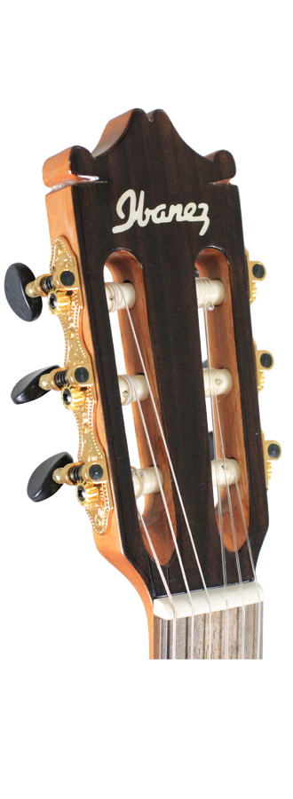 Ibanez - GM600CE-NT